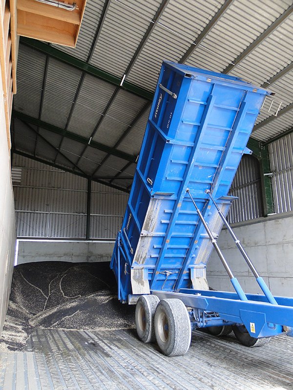 on-floor-drying-store-harvest-installations - Harvest Installations On-floor grain drying store with trailers tipping grain directly onto the drying floor, installed by Harvest Installations